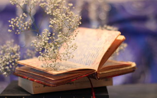 福建自考成绩有效期是什么意思?(1) 福建自考成绩有效期是什么意思?(1)