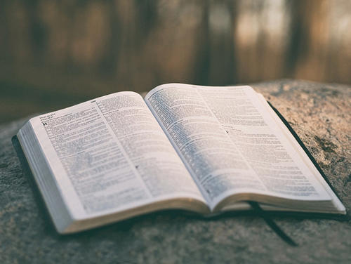 自考成绩分为几个等级?(1) 自考成绩分为几个等级?(1)