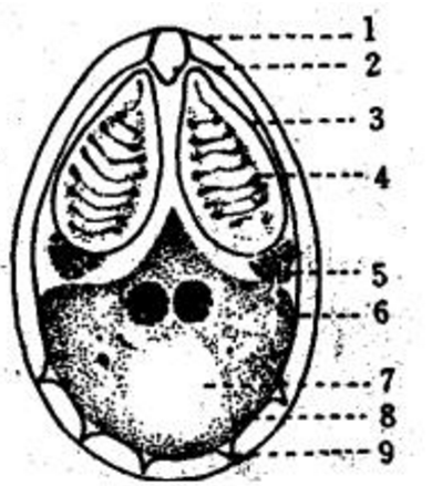 4ti.png 2019年自考《水产动物疾病防治》习题及答案(1)