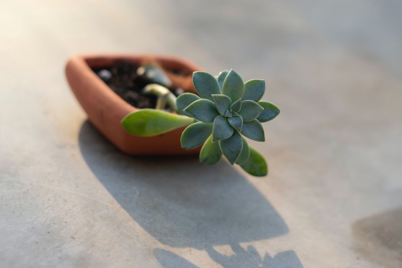 福建省10月自考掌握这些技巧,考试稳了!(1) 福建省10月自考掌握这些技巧,考试稳了!(1)