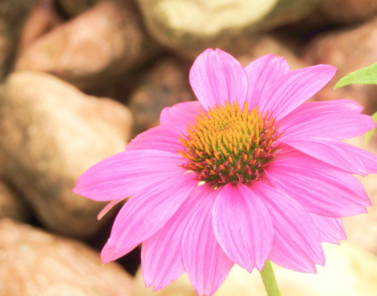 福建省13种自学考试学习技巧(1) 福建省13种自学考试学习技巧(1)