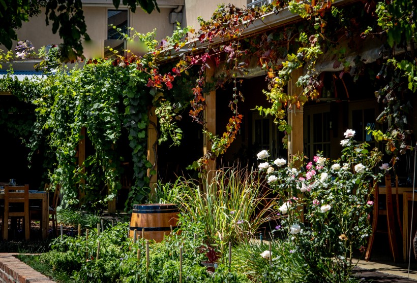 福建省自考备考攻略(1) 福建省自考备考攻略(1)