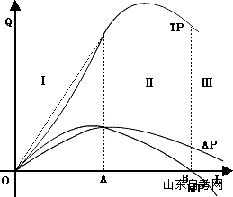 西方经济学学习笔记 一种可变生产要素的生产函(5) 西方经济学学习笔记 一种可变生产要素的生产函(5)