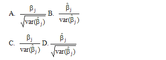 全国2010年10月高等教育自学考试计量经济学试题(5)