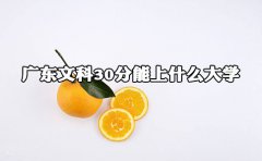 福建文科300分能上什么大学?