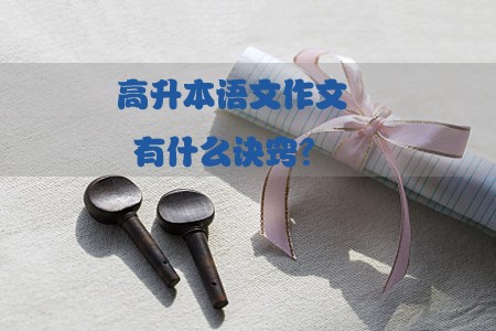 高升本语文作文有什么诀窍？(1)