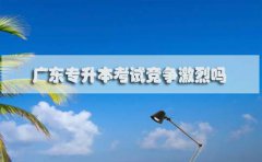 福建专升本考试竞争激烈吗