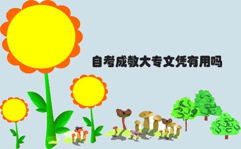 自考成教大专文凭有用吗(1)